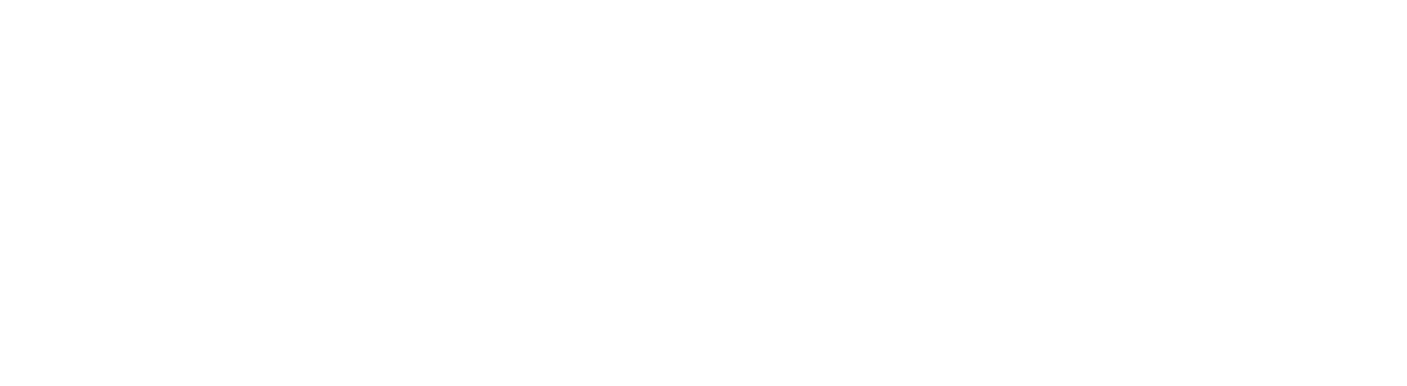 Digisky Secure Networks